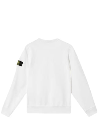 Stone Island Felpa girocollo K1S166100011