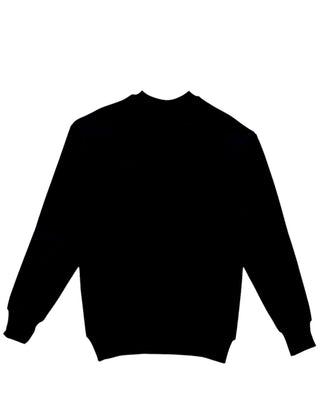 Why Not Brand Felpa girocollo FE3