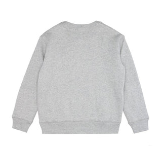 Polo Ralph Lauren Crewneck Sweatshirt with Logo 322772102002