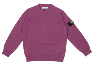 Pullover mit Stone Island-Logo 7716509A4