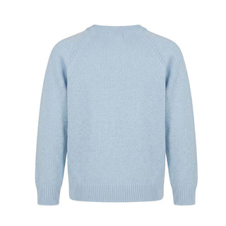 The Owl Sweater with applications A21MA375EM220B
