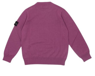 Pullover mit Stone Island-Logo 7716509A4