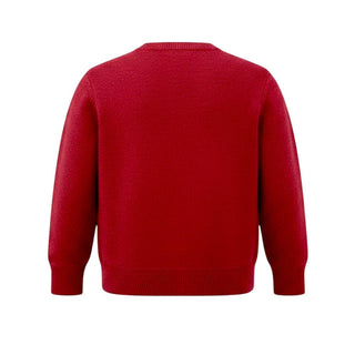 Dottor Kids Maglia girocollo in misto lana da neonato DK22