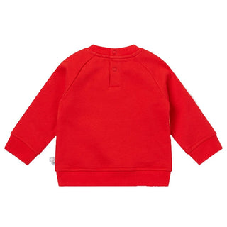 Stella Mccartney Printed Sweatshirt 8R4520