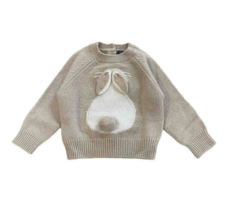 The Owl Sweater with applications A21MA375EM220